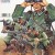 1/35 Tamiya German Machine Gun Troops Infantry WWII 35038