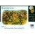 1/35 MasterBox Hand-to-hand Combat Tarawa 1943 3544
