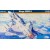 1/72 Mistercraft Mirage 2000-5 72070