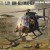 1/35 Kitty Hawk AH-6J/MH-6J Little Bird `Nightstalkers` 50003