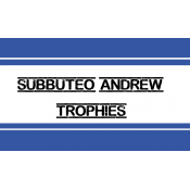 Subbuteo Andrew Table Soccer Trophies (37)