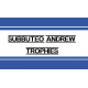 Subbuteo Andrew Table Soccer Trophies